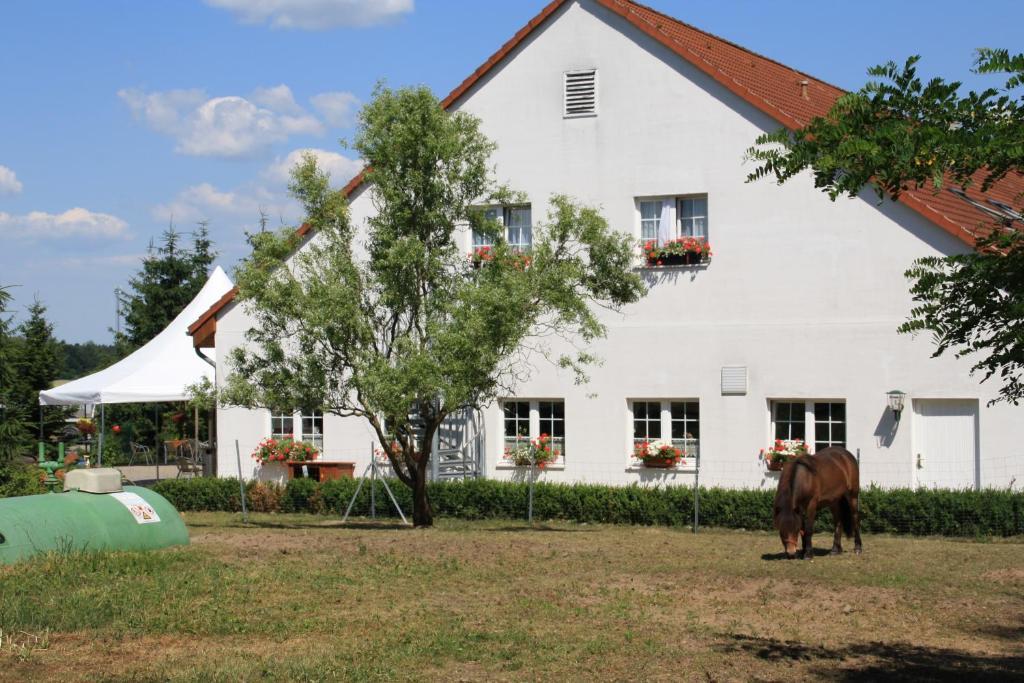 Hotel-Pension Am Muehlberg Lübbenau Oda fotoğraf